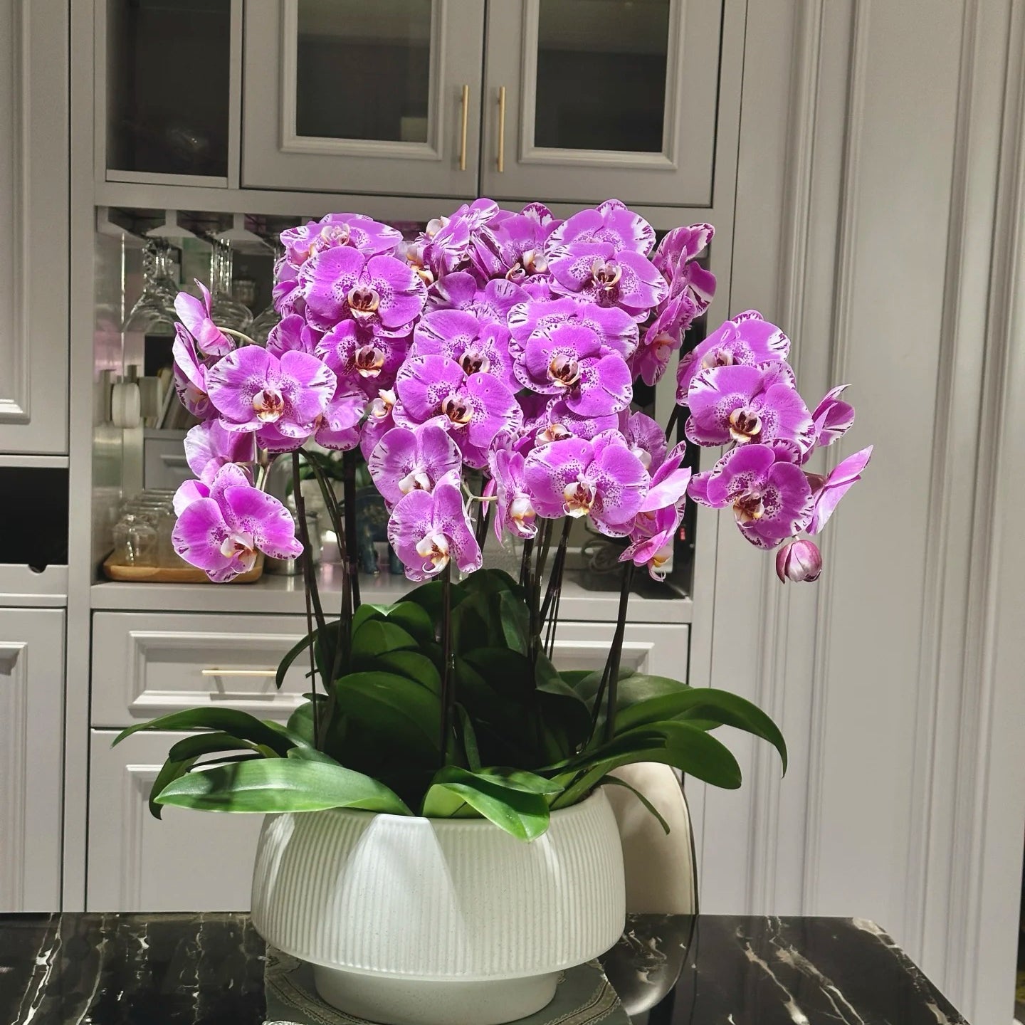 Orchid