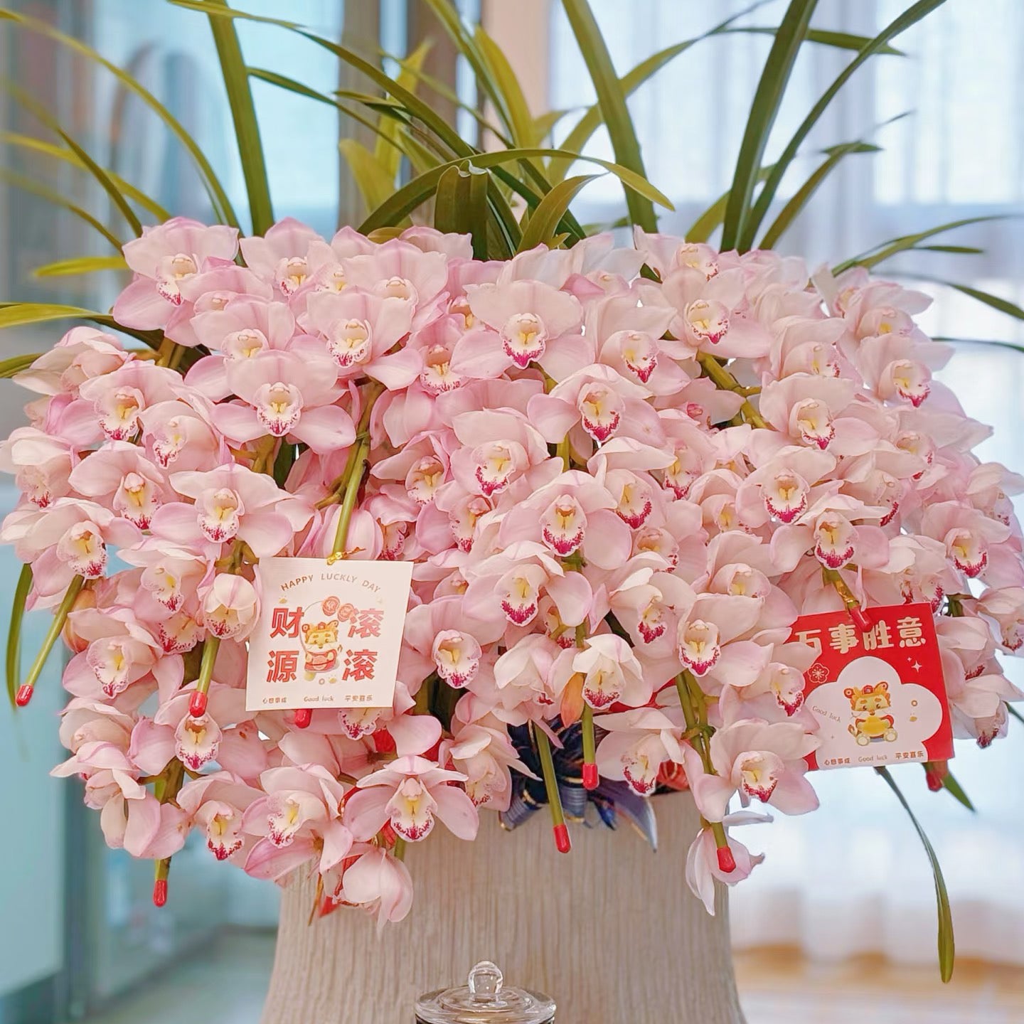 Orchid