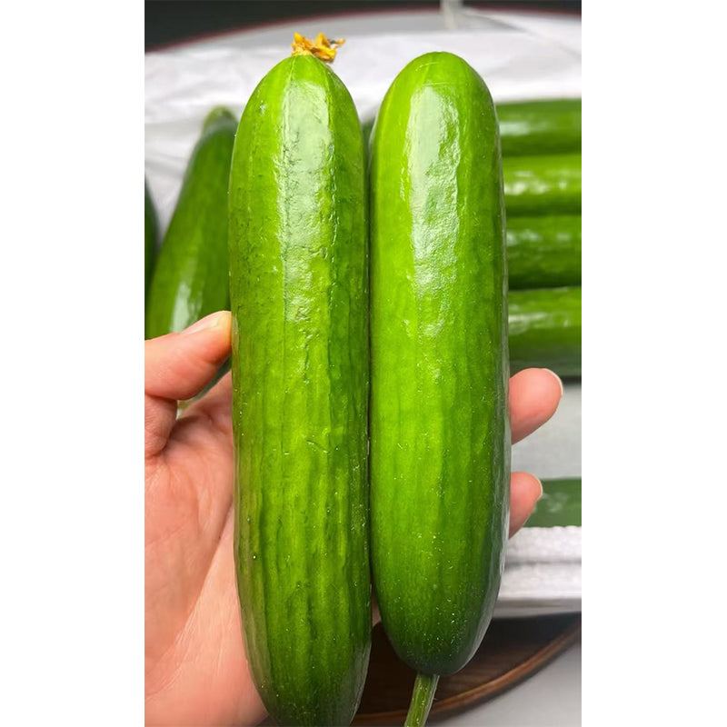 Fruit Cucumber