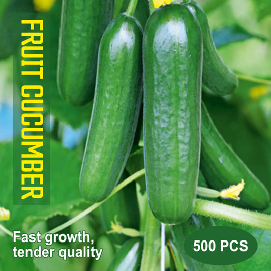 Fruit Cucumber