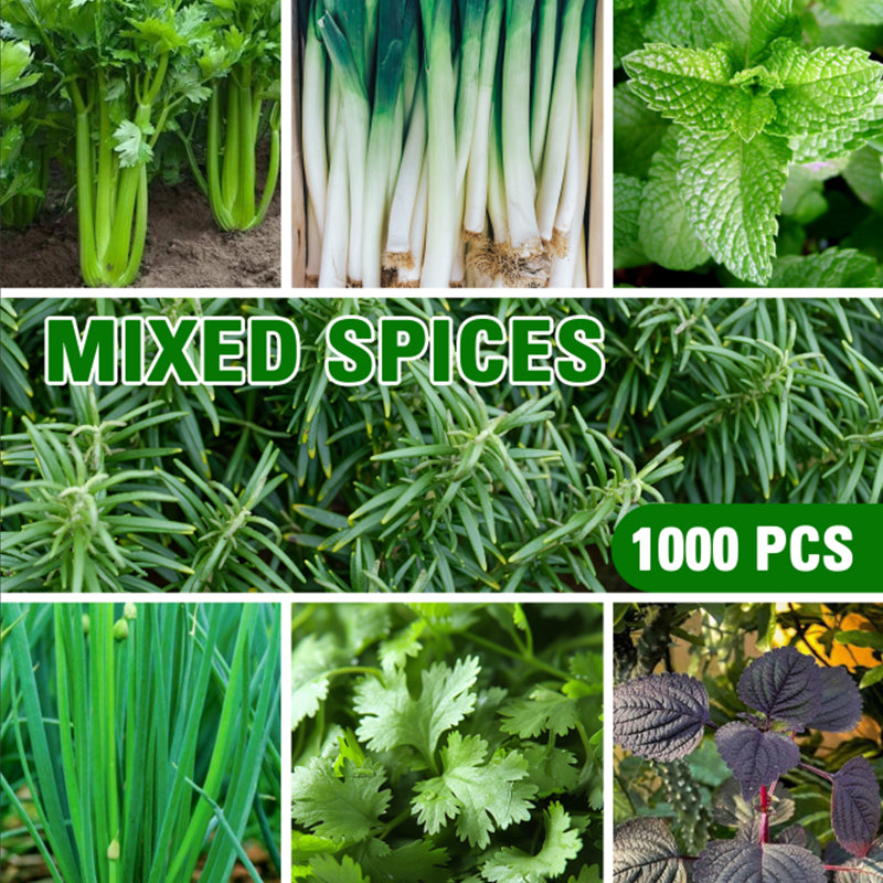 Mixed Spices
