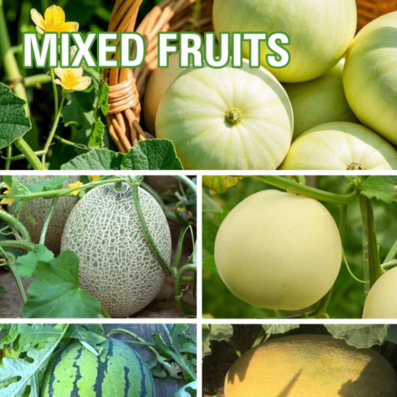 Mixed Fruits