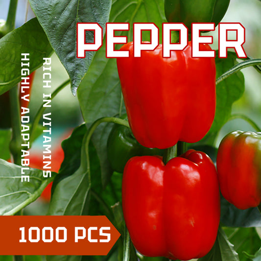 Sweet Pepper