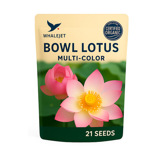 Bowl Lotus