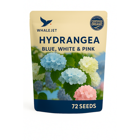 Hydrangea