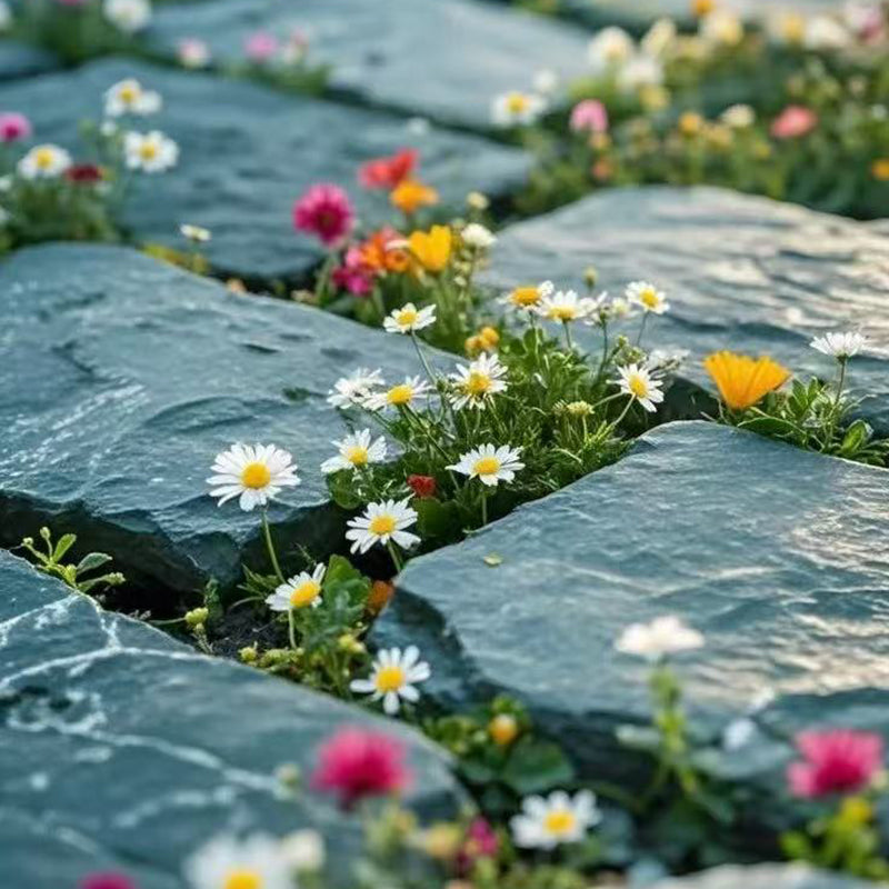 A variety of wildflowers