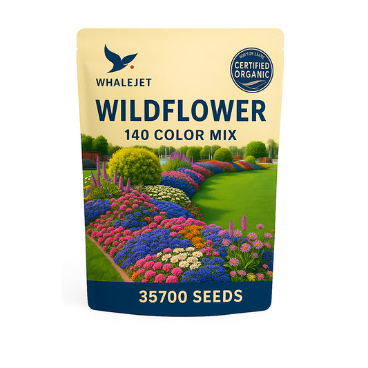 A variety of wildflowers