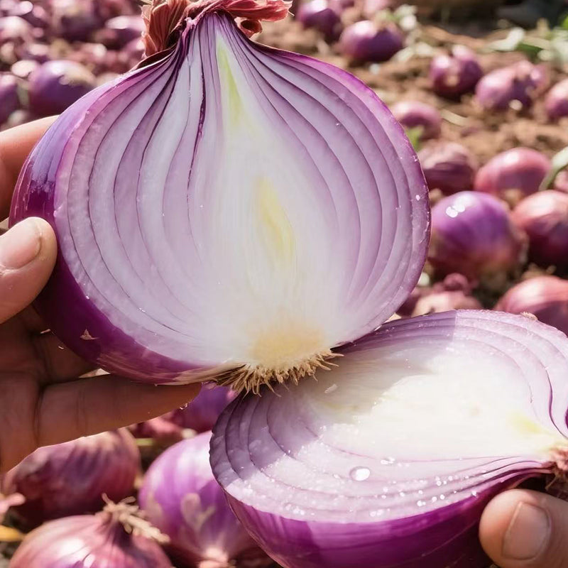 Onion