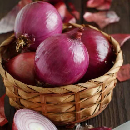 Onion