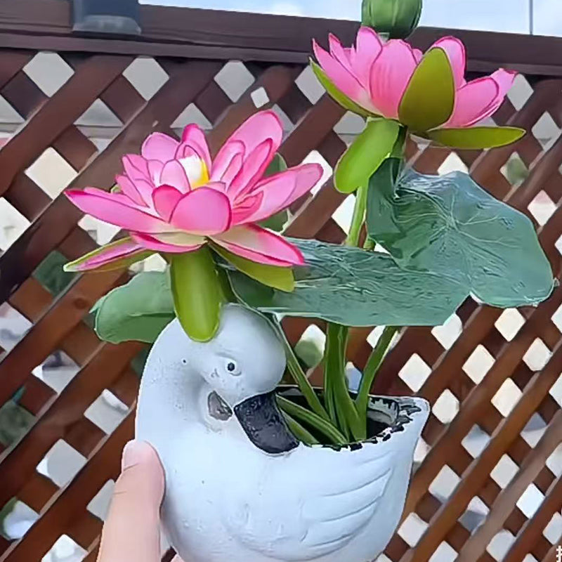 Bowl Lotus